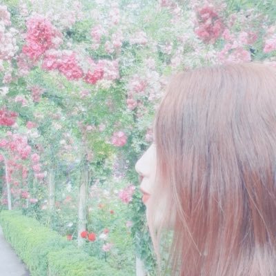 *未経験エンジニア * 独学→挫折→スクール→転職成功 * *新卒後、ワーホリロンダで28歳職歴無しでした...* *これから7回目くらいの人生頑張ります*