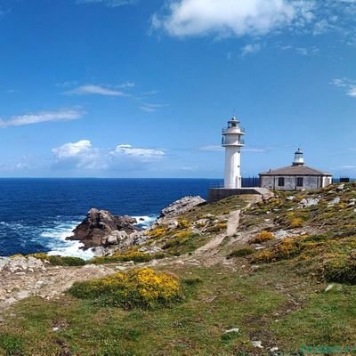 Markxulonis's profile picture. This is the Bronx 🔪