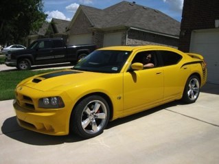 ratjames's profile picture. 