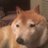イーヌのアイコン
