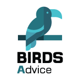 Birds Advice(@birds_advice) 's Twitter Profile Photo
