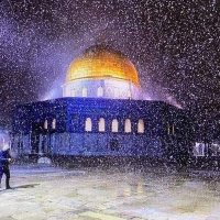 Marwa saad (@marwasa69893529) 's Twitter Profile