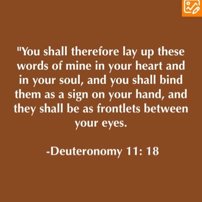 DanielKurgat1's profile picture. 