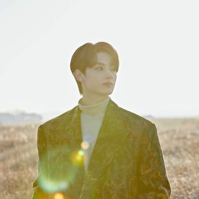 seventeen's fan(fourth acc for BBMAs voting)