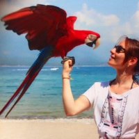 Lara Lerigner (@larabougrie) 's Twitter Profile