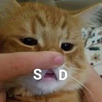 bbGOJI (@bbgojii) 's Twitter Profile