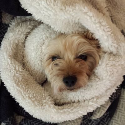 sooconcerned's profile picture. 