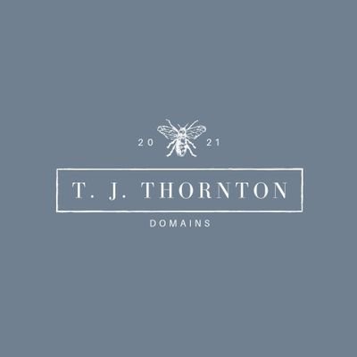 ThorntonFlips's profile picture. Giving domain buying & selling a chance to help build my future 🙏 Find my domains on Sedo, Dan & GoDaddy ✍️
