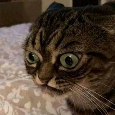 WarnerRenshaw's profile picture. 