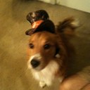 Buddy Gore - @buddygore - Twitter