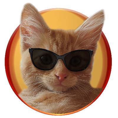 crazycatfrank's profile picture. I'm just a cat, a cat who has a twitter account, because why not?

#crazycatfrank #madfrank #catontwitter