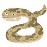 Yokohama Python (@pythonyokohama) 's Twitter Profile