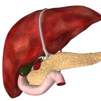 Global Hepato-Pancreato-Biliary Collaboration (@globalhepato) 's Twitter Profile