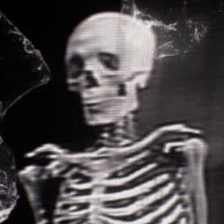 wssuap's profile picture. 