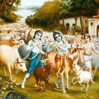 Sahasra Ravuri (@ravurisahasra) Twitter profile photo