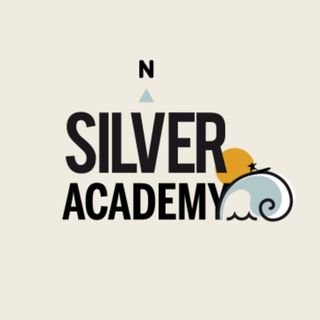 Visit SilverSurfersAcademy Profile
