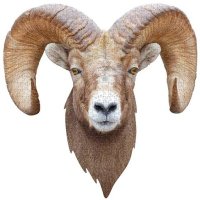 RuckusTom (@ruckustom) 's Twitter Profile Photo RuckusTom (@ruckustom) 's Twitter Profile Photo