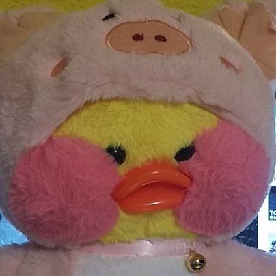 Connlaさんのプロフィール画像