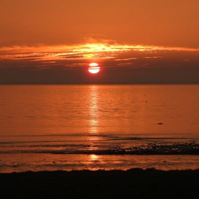 terripiz's profile picture. Married, retired living in Scotland.