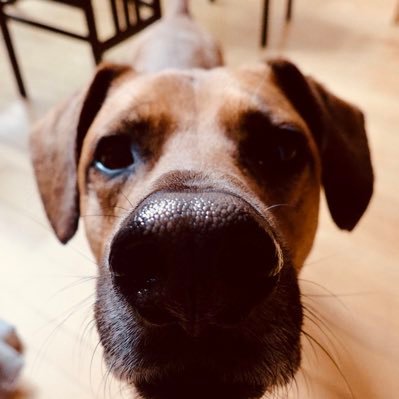 WPorte12's profile picture. Business professional with an MBA. Wife to an incredible husband. Mom to smart, kind and athletic daughters. Sports fan who loves musicals.