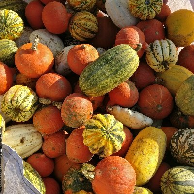 A project of @LionsClubs and part of @feedbackorg - our aim is to reduce unnecessary food waste. Always on the lookout for excess fruit and veg!