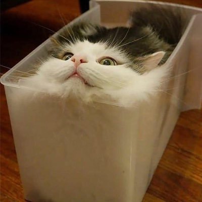 ボンバー✩さんのプロフィール画像