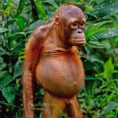 Red10208731's profile picture. 