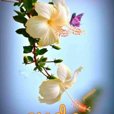 I am very simple and kindful