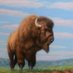 TMHS Fine Arts Dept (@artstmhs) Twitter profile photo TMHS Fine Arts Dept (@artstmhs) Twitter profile photo