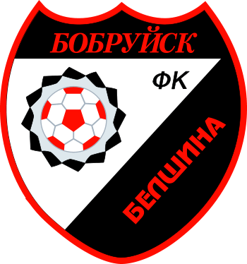 Футболный клуб Белшина Бобруйск