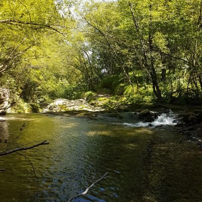 Matryoshika36's profile picture. 6/1/1999 - 26.
Be gay, do crimes.