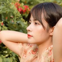 Gwyneth (✸,✸)(Ø,G) (@gwyneth164) 's Twitter Profile