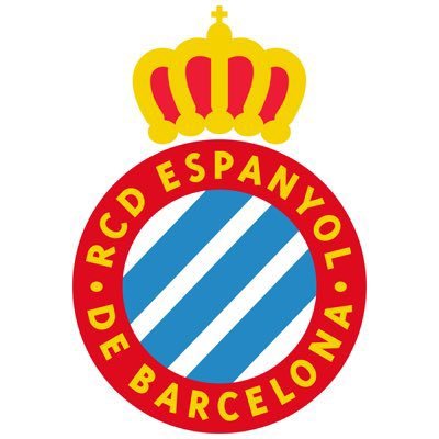 American RCD Espanyol fan