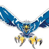Falcon (@am_falcons) 's Twitter Profile