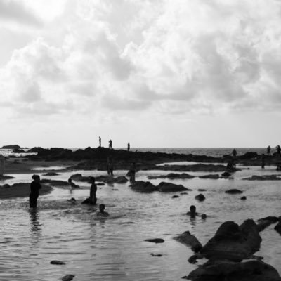 zindagaro's profile picture. Prof.Dr.Pediatri