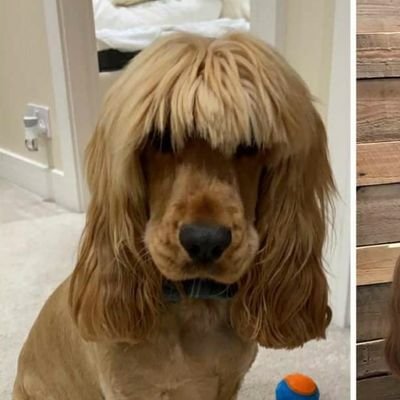 conor_ashford's profile picture. WHAT?!