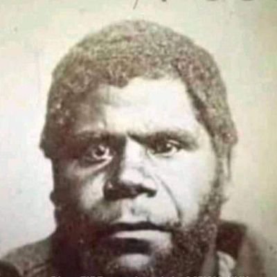 Suleima43639901's profile picture. Muro