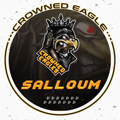 Pro Clash of Clans player for @eagles_crowned team.