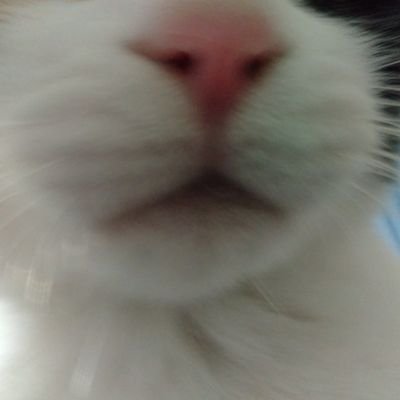 OYPn8XUwv4F6SAe's profile picture. ネガティブなTweetをすることがありますので、毒親育ち関連のことを見ても不快にならない人だけフォローしていただけたらなと思います。
よろしくお願いします。