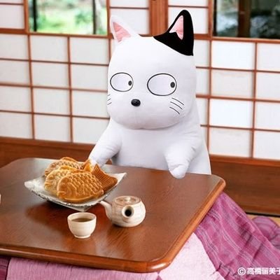 ねこパンチ👊さんのプロフィール画像
