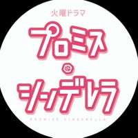 TBS「プロミス・シンデレラ」【公式】 (@pc_tbs2021) 's Twitter Profile