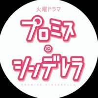 TBS「プロミス・シンデレラ」【公式】(@pc_tbs2021) 's Twitter Profile Photo