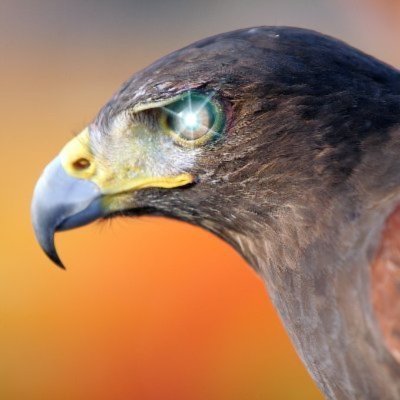 gzillion_zil's profile picture. The bitter truth is better than the sweetest lies