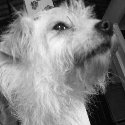 valamga's profile picture. Amor a los animales 💗🥴🙏
costeña!