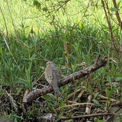 Science educator focused on regenerative agriculture