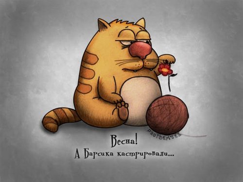 Mefisto787's profile picture. Рубрики а вы знали ...?)