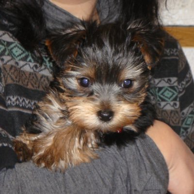 ringo20181214's profile picture. 児童養護施設でボランティアで子どもたちと出会い10年。地域の大人たちで支えられたら…と考えている🧐#静岡県社会的養護経験者の就労を支援する会#青少年就労支援ネットワーク静岡 #CforC#児童養護施設#アフター#ネットワーク#ACHAプロジェクト