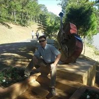 Figueroa Apollo ❤️ Memecoin (@apollofigueroa) 's Twitter Profile