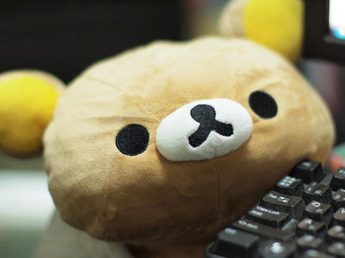 カメコです。