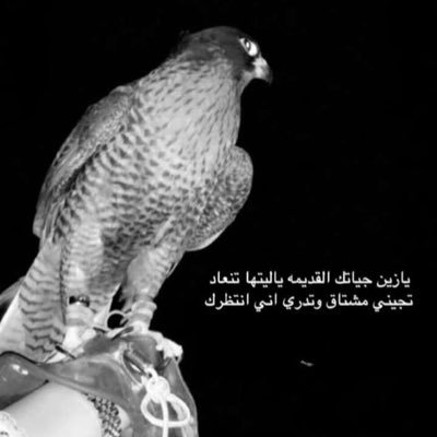⠀⠀ ⠀⠀⠀⠀ ⠀⠀ ⠀⠀⠀⠀ ⠀⠀ ⠀⠀⠀⠀ ⠀⠀ ⠀⠀ ⠀⠀ ⠀⠀⠀⠀ ⠀⠀⠀⠀⠀⠀ تقفي وتقفي وحنا “” مانتبع المقفين ““ ⠀⠀ ⠀⠀ ⠀⠀⠀⠀ ⠀⠀⠀⠀